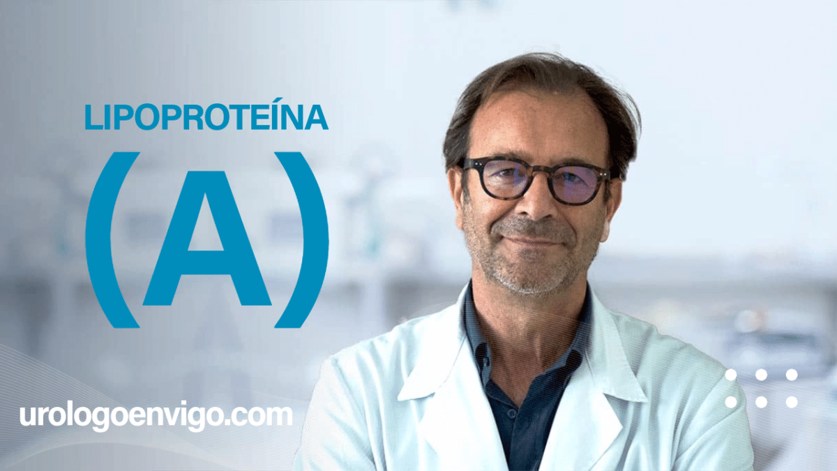 Disfunción eréctil vascular y lipoproteína (a): la causa genética que nadie te ha explicado 3 Relación entre la Lipoproteína (a) elevada y la disfunción eréctil