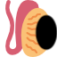 tumor testicular